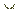 Icon Evil